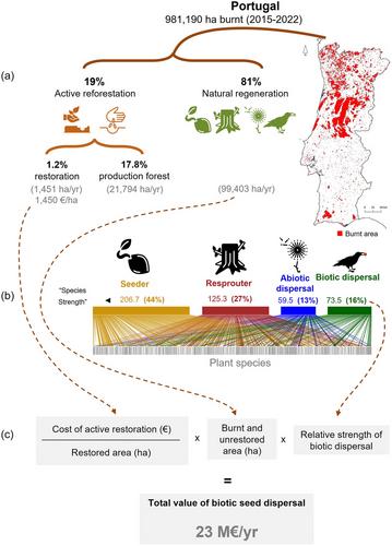 What is the value of biotic seed dispersal in post-fire forest regeneration?