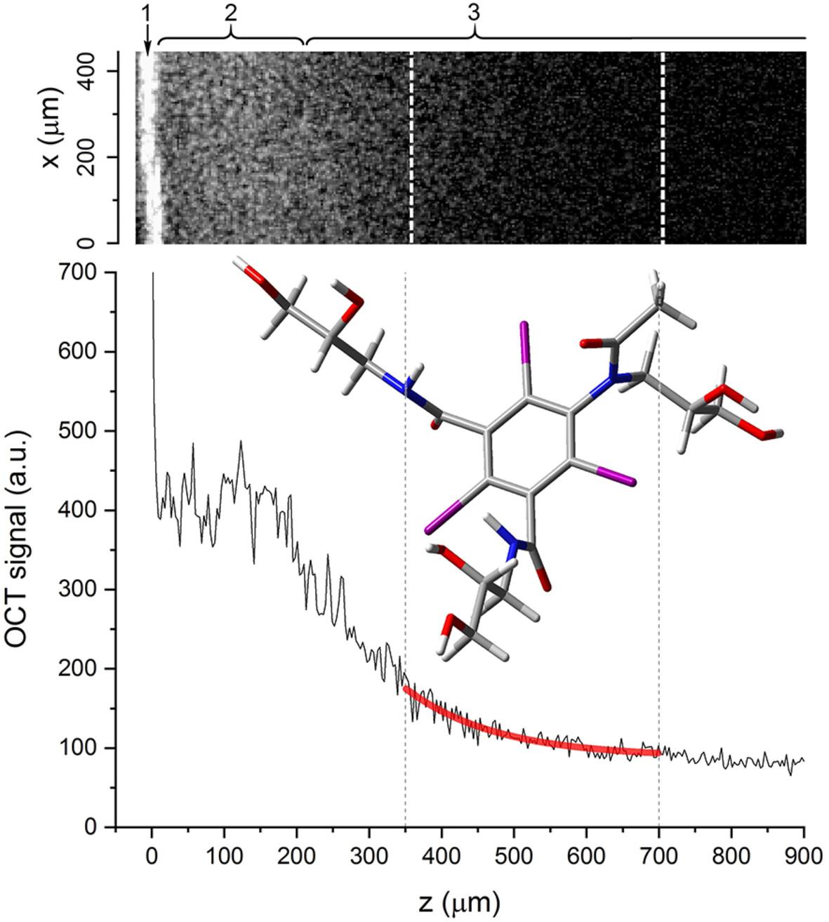 Optical clearing of human skin: Molecular modeling and in vivo OCT study