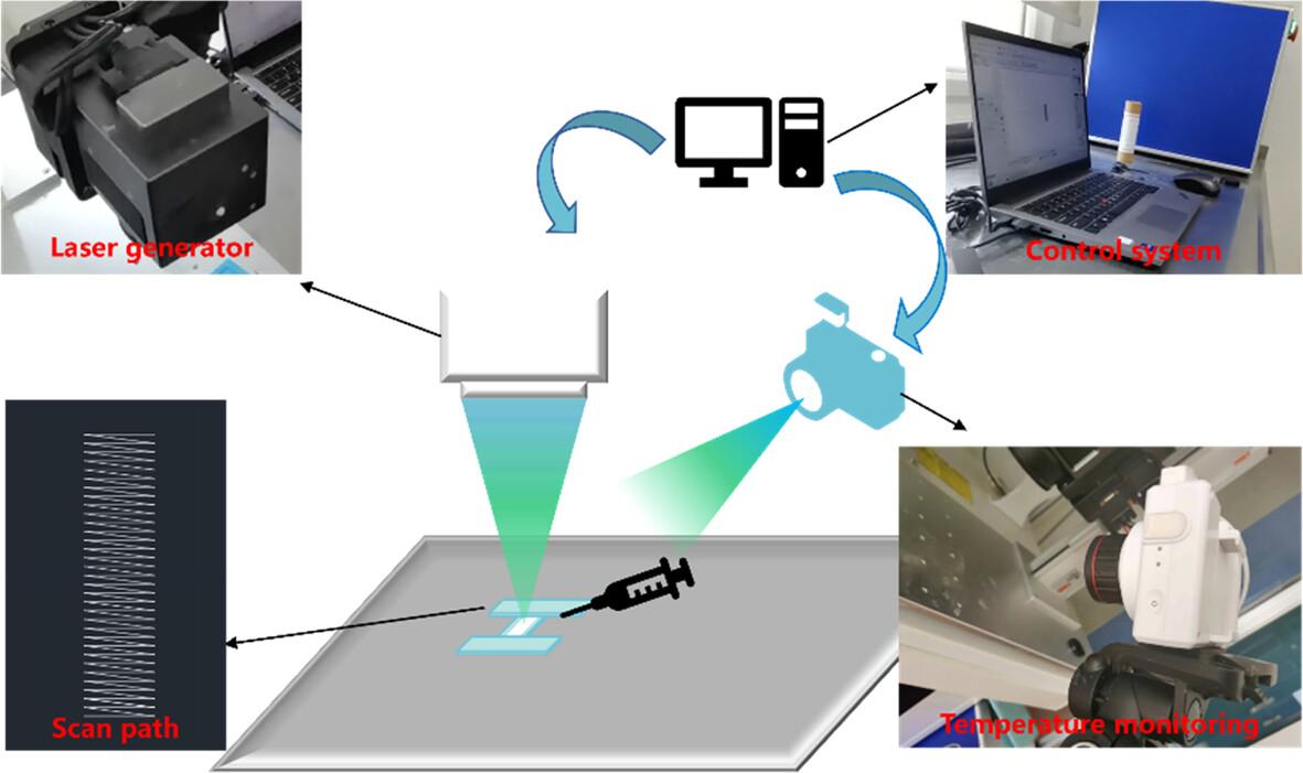 Experimental study on the mechanical properties and thermal damage of laser welding the ruptured flexor digitorum longus tendons