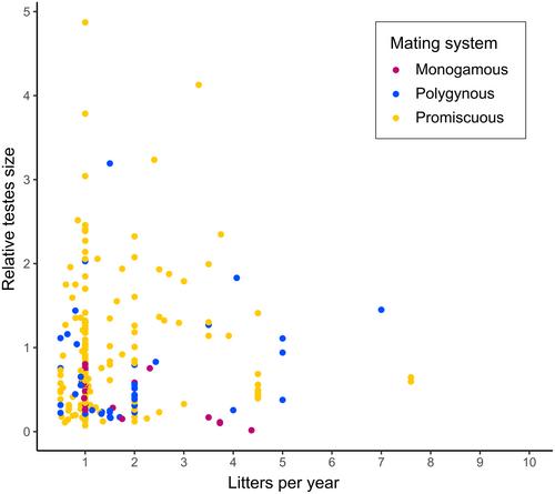 Size is not everything: Nuanced effects of female multiple mating and annual litter number on testes size in terrestrial mammals