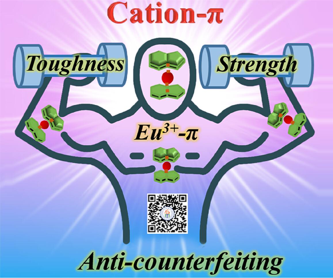 A toughening indole-based epoxy film with efficient anti-counterfeiting properties driven by cation–π interaction