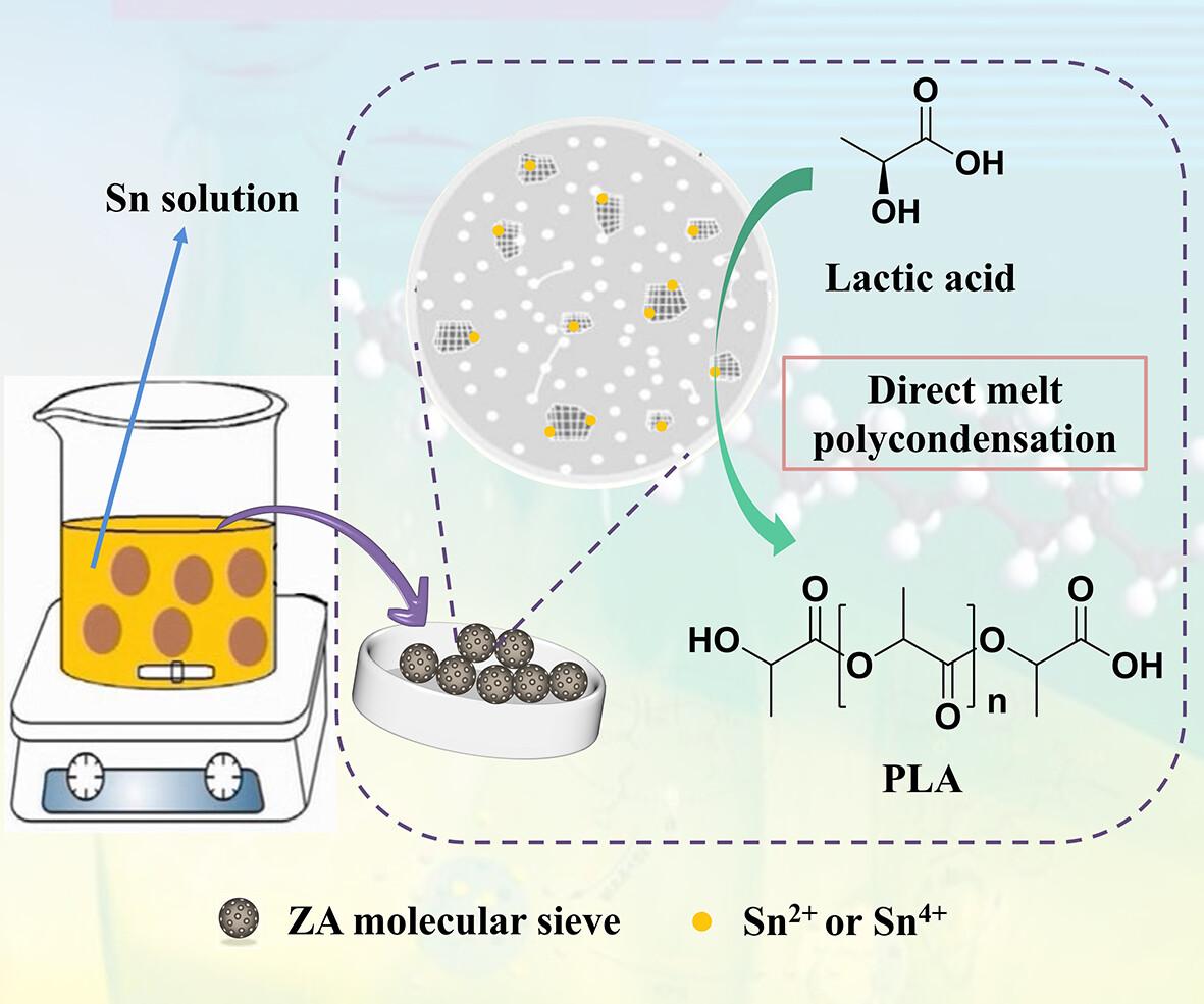 Poly(lactic acid) synthesized from non-food biomass feedstocks with tin-loaded ZA molecular sieve catalysts by direct melt polycondensation