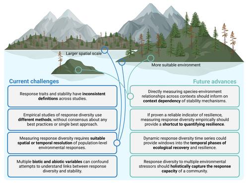 Limited theoretical and empirical evidence that response diversity determines the resilience of ecosystems to environmental change