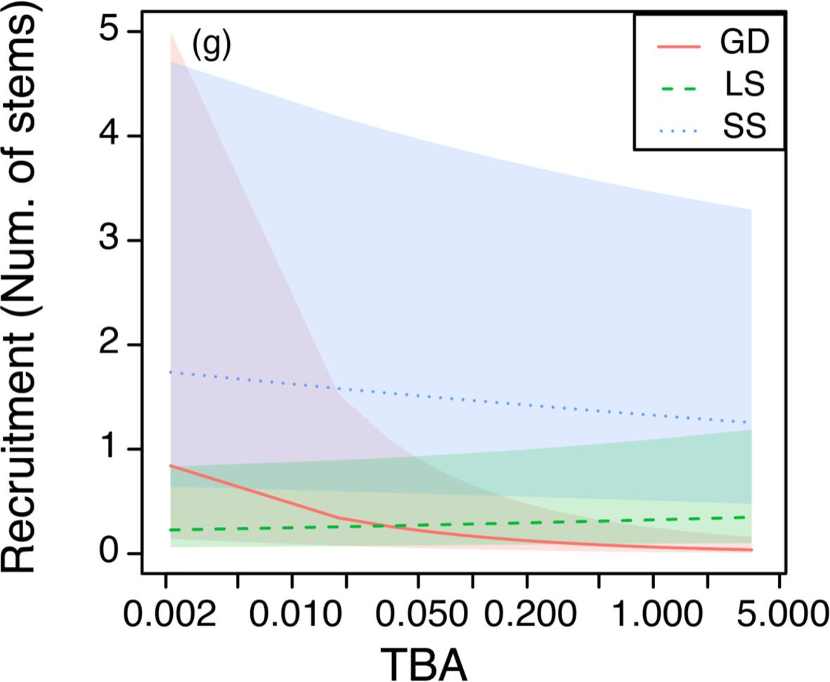 Changes in forest structure over 23 years under disturbances in a warm temperate rain forest on Yakushima Island, Japan