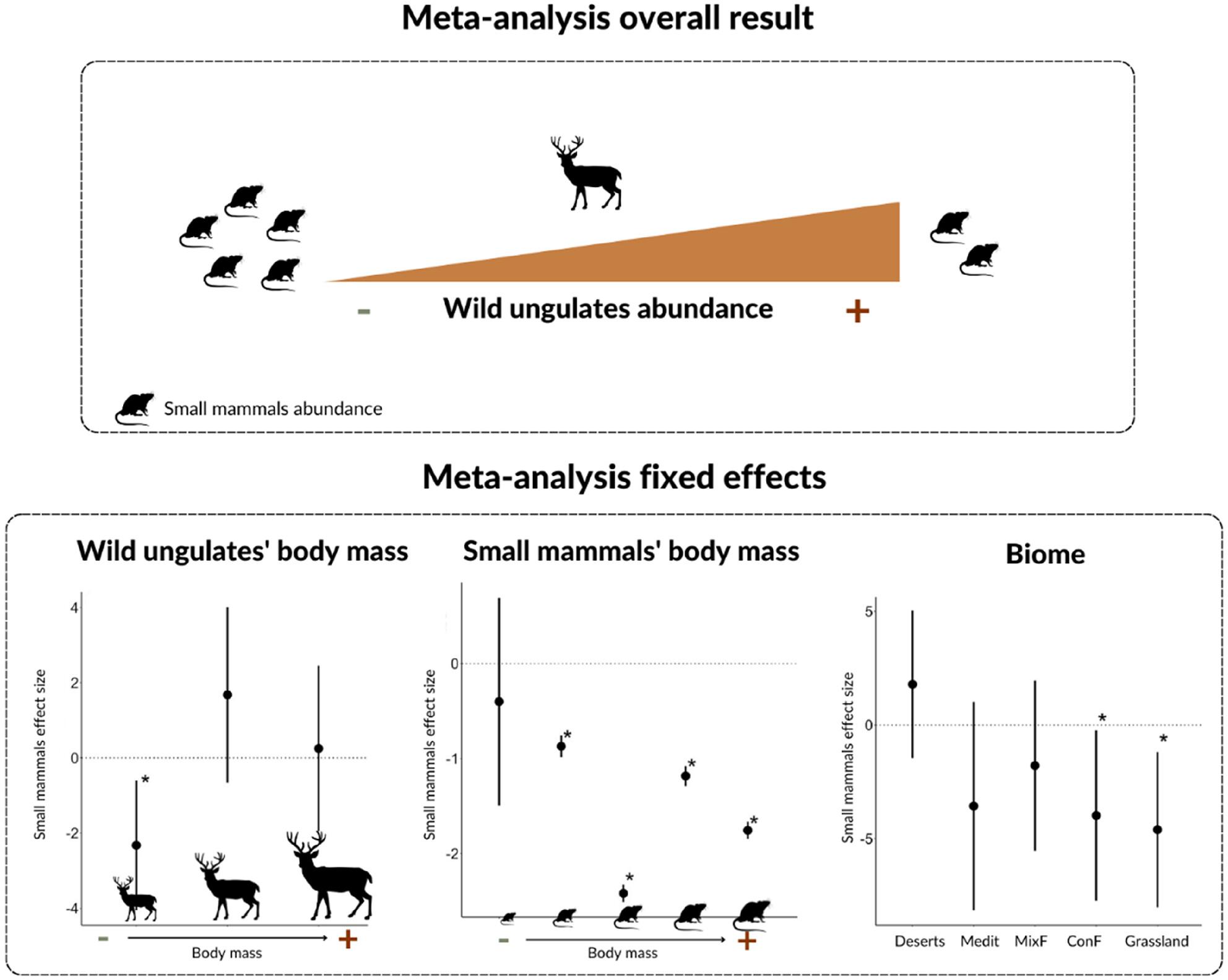 The effects of wild ungulates on small mammals: a systematic review and meta-analysis