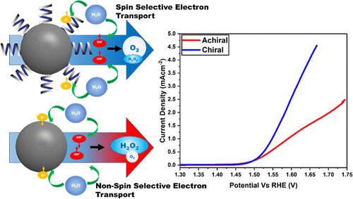 Electron Spin Selective Iridium Electrocatalysts for the Oxygen Evolution Reaction