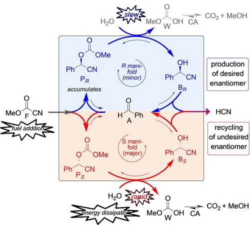 Dissipative Cyclic Reaction Networks: Mechanistic Insights into a Minor Enantiomer Recycling Process