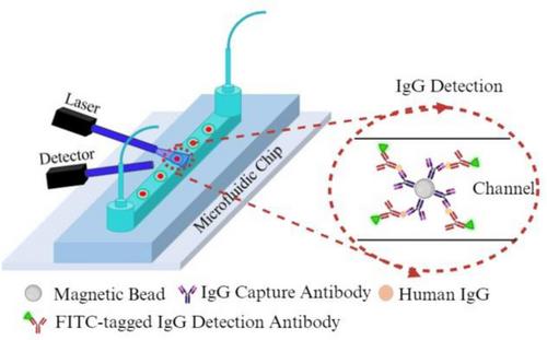 An Optofluidic System for Monitoring Fluorescently Activated Protein Biomarkers