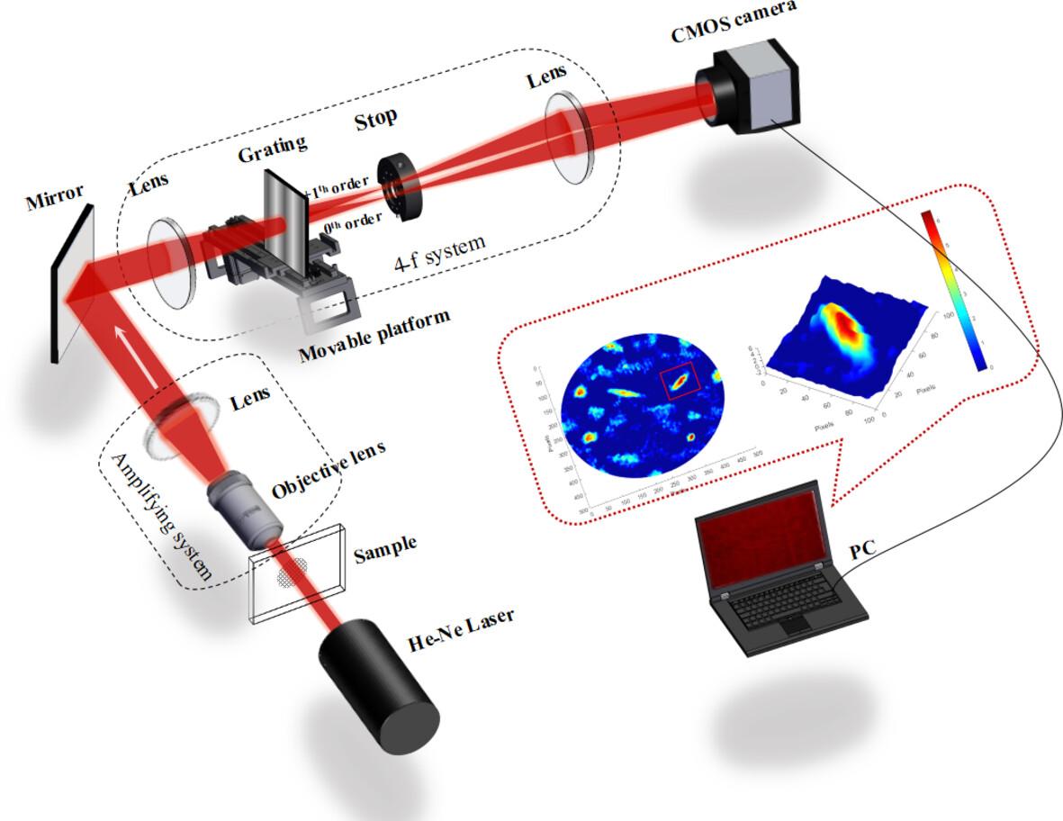 Moving grating-based laser heterodyne digital holographic microscopy system for measuring dynamic phase of living cell attachment