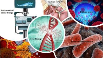 Theories behind Bacillus Calmette-Guérin failure in high-risk non-muscle-invasive bladder cancer and update on current management