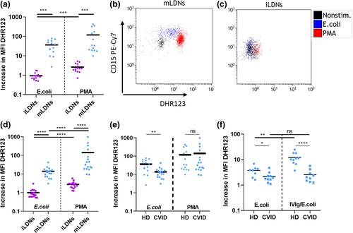 Phenotype and oxidative burst of low-density neutrophil subpopulations are altered in common variable immunodeficiency patients