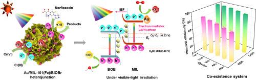 A plasmonic S-scheme Au/MIL-101(Fe)/BiOBr photocatalyst for efficient synchronous decontamination of Cr(VI) and norfloxacin antibiotic