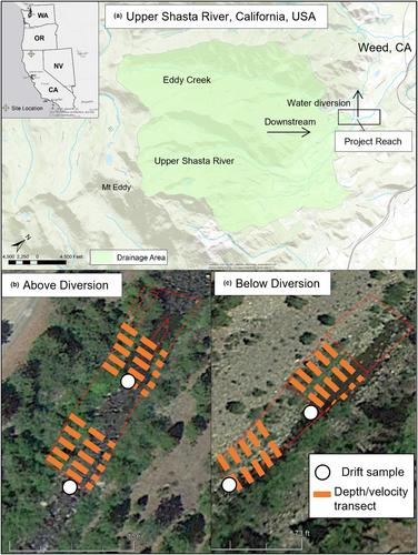 Trout bioenergetics as a process-based tool to estimate ecological risk in a regulated river