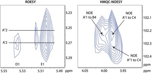 Permethylation as a strategy for high-molecular-weight polysaccharide structure analysis by nuclear magnetic resonance—Case study of Xylella fastidiosa extracellular polysaccharide