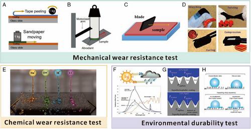 Durable superhydrophobic surface in wearable sensors: From nature to application