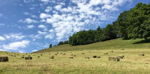 Improving Agricultural Policy Decisions through Replications
      Améliorer les décisions en matière de politique agricole grâce à des réplications
      Verbesserung der agrarpolitischen Entscheidungen durch Replikationsstudien