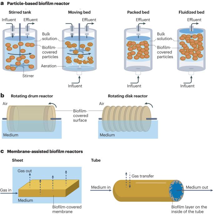 Beneficial applications of biofilms