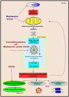 Betanin combined with virgin coconut oil inhibits neuroinflammation in aluminum chloride-induced toxicity in rats by regulating NLRP3 inflammasome