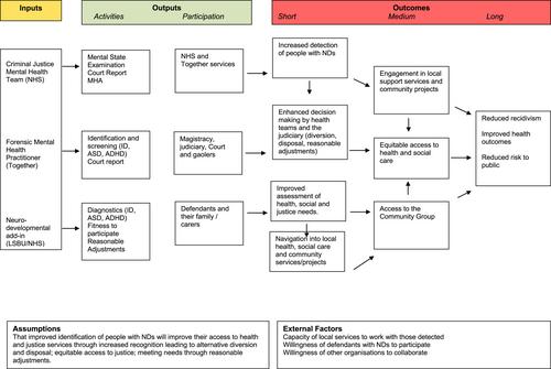 A realist evaluation of an enhanced court-based liaison and diversion service for defendants with neurodevelopmental disorders