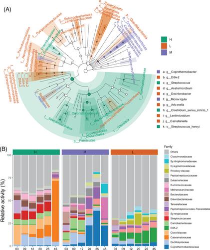 Microbiome dynamics and products profiles of biowaste fermentation under different organic loads and additives