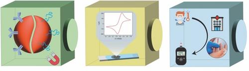 Magnetic Beads as Versatile Tools for Electrochemical Biosensing Platforms in Point-of-Care Testing