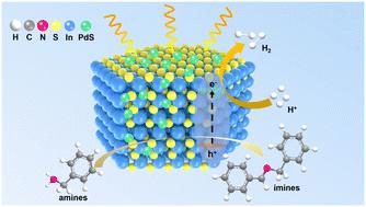 Cocatalyst-modified In2S3 photocatalysts for C–N coupling of amines integrated with H2 evolution†