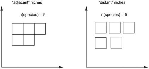 Morpho-ecospaces, or how to measure biodiversity in a different way