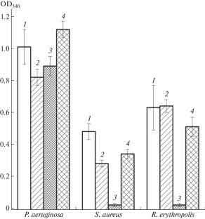 Prospects for Application of Guanidine-Containing Organomineral Complexes as Biocidal Functional Additives for Waterborne Polymer Materials