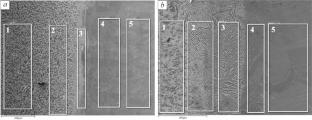 Structure and Distribution of Chemical Elements in the Transition Zone in Deposited VT20 and VT1-0 Alloy Samples