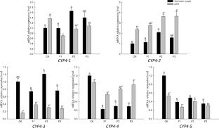 Response of P450 gene of Frankliniella occidentalis (Thysanoptera: Thripidae) in succession adaptation to broad bean plant