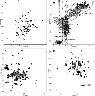 Uniform [13C,15N]-labeled and glycosylated IgG1 Fc expressed in Saccharomyces cerevisiae