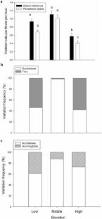 Floral attractants in an alpine environment: linking floral volatiles, flower size and pollinators