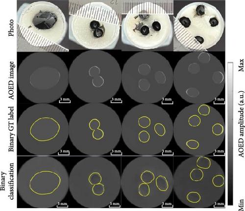 IRR-Net: A Joint Learning Framework for Image Reconstruction and Recognition of Photoacoustic Tomography