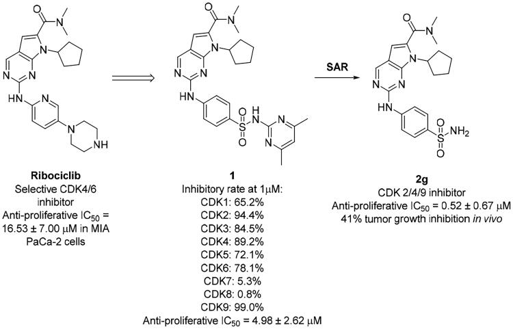 Design, synthesis and biological evaluation of 2-((4-sulfamoylphenyl)amino)-pyrrolo[2,3-d]pyrimidine derivatives as CDK inhibitors.