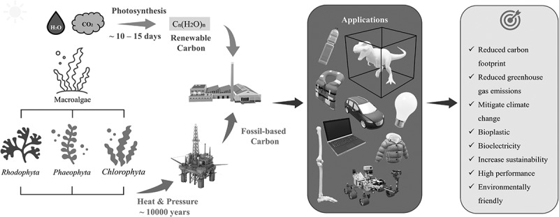 Sustainable circular biorefinery approach for novel building blocks and bioenergy production from algae using microbial fuel cell.