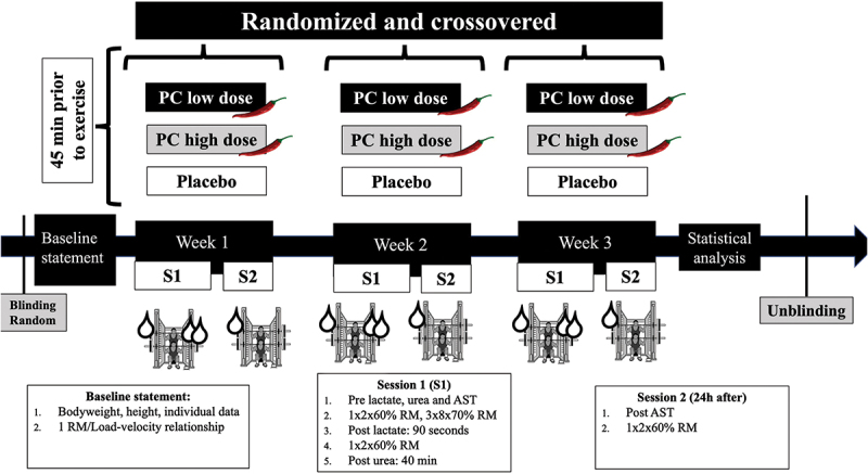 Effects of different phenylcapsaicin doses on resistance training performance, muscle damage, protein breakdown, metabolic response, ratings of perceived exertion, and recovery: a randomized, triple-blinded, placebo-controlled, crossover trial.