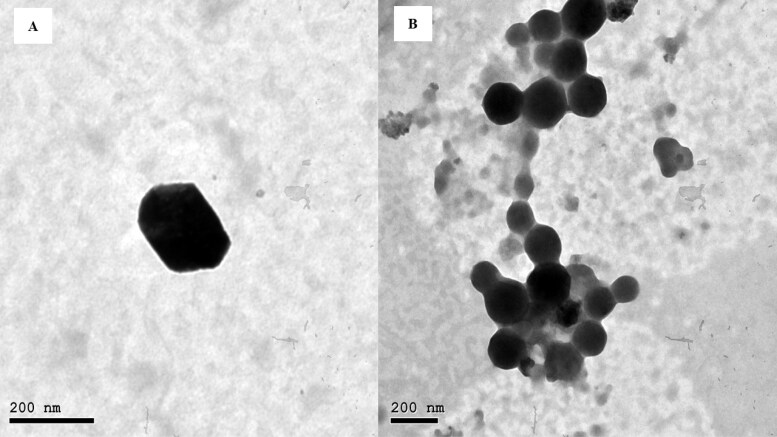 Syringeable atorvastatin loaded eugenol enriched PEGylated cubosomes in-situ gel for the intra-pocket treatment of periodontitis: statistical optimization and clinical assessment.