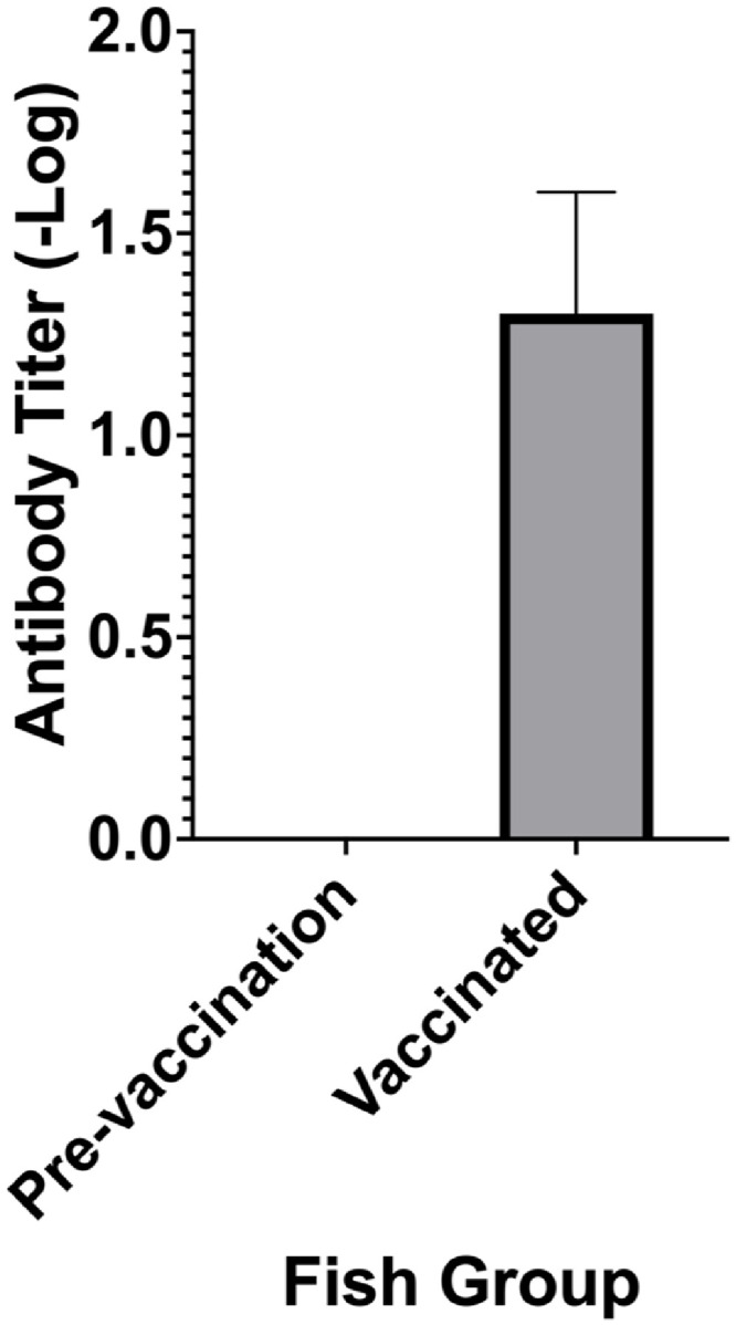 A recombinant 9E1 monoclonal antibody binds membrane and soluble channel catfish immunoglobulin M