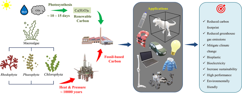 Sustainable circular biorefinery approach for novel building blocks and bioenergy production from algae using microbial fuel cell.