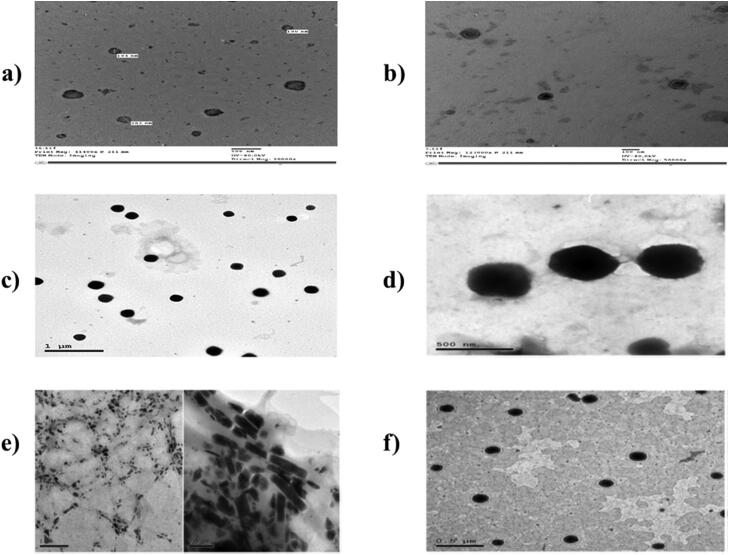 A comprehensive review on recent nanosystems for enhancing antifungal activity of fenticonazole nitrate from different routes of administration.