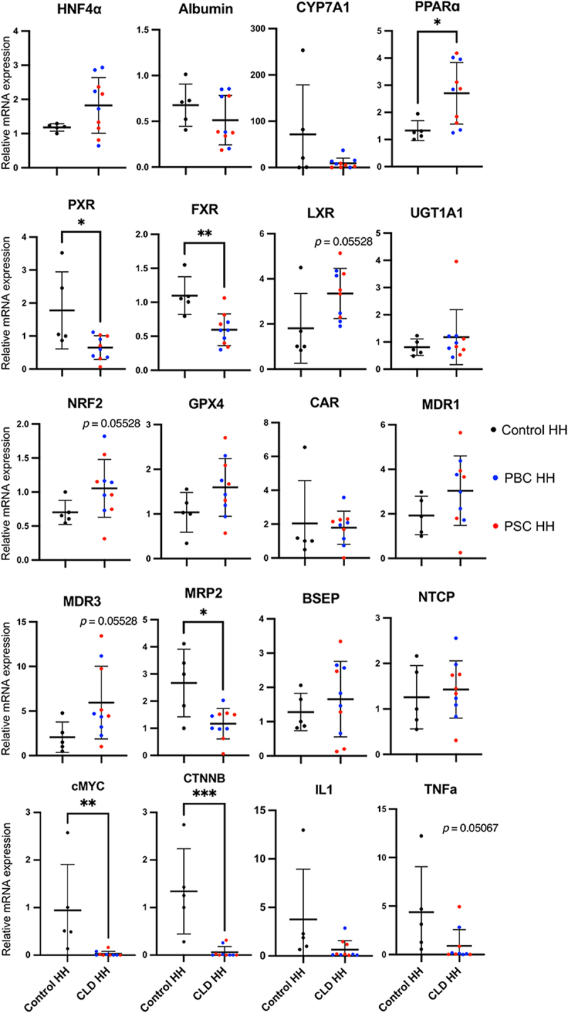 Human Hepatocellular response in Cholestatic Liver Diseases.