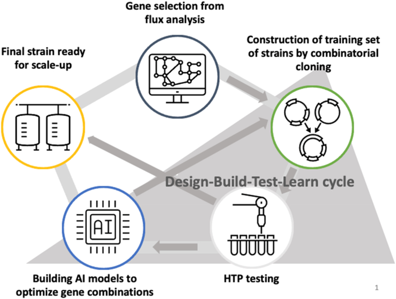 Engineering of increased L-Threonine production in bacteria by combinatorial cloning and machine learning