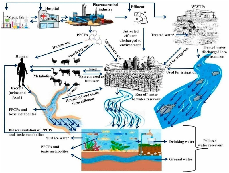 Recent advances in microbial engineering approaches for wastewater treatment: a review.