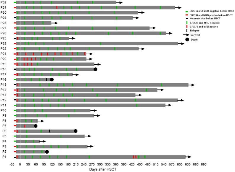 Addition of venetoclax to myeloablative conditioning regimens for allogeneic hematopoietic stem cell transplantation in high-risk AML.