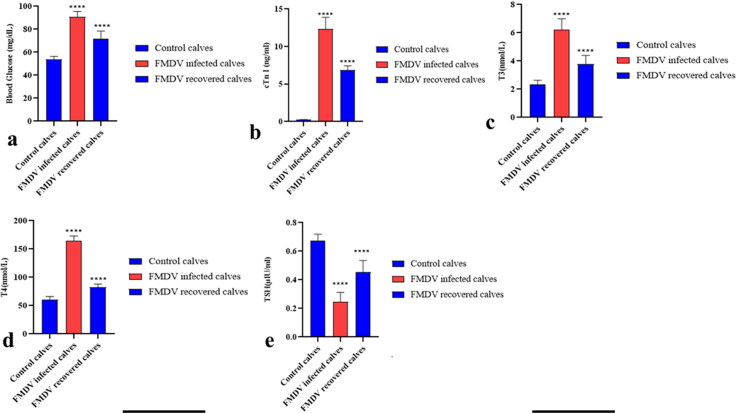 Novel pathologic findings and viral antigen distribution in cattle and buffalo calves naturally infected with Foot-and-Mouth disease virus.