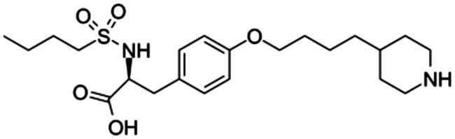 Tirofiban-induced thrombocytopenia.