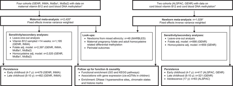 A meta-analysis of epigenome-wide association studies on pregnancy vitamin B12 concentrations and offspring DNA methylation.