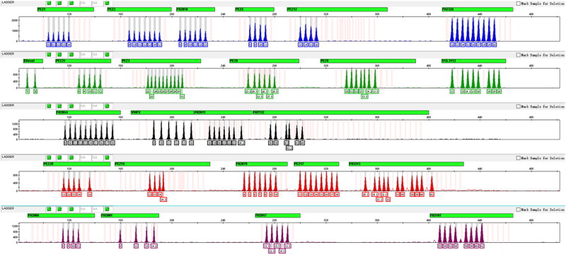 Developmental validation of a novel multiple genotyping assay with 24 Canine STR loci.