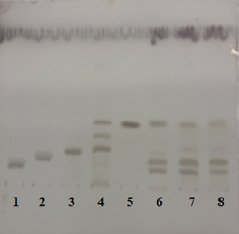 Comparative assessment of erythrocyte sphingolipid levels as potential cardiovascular health markers in women from Libya and Serbia: a small-scale study.