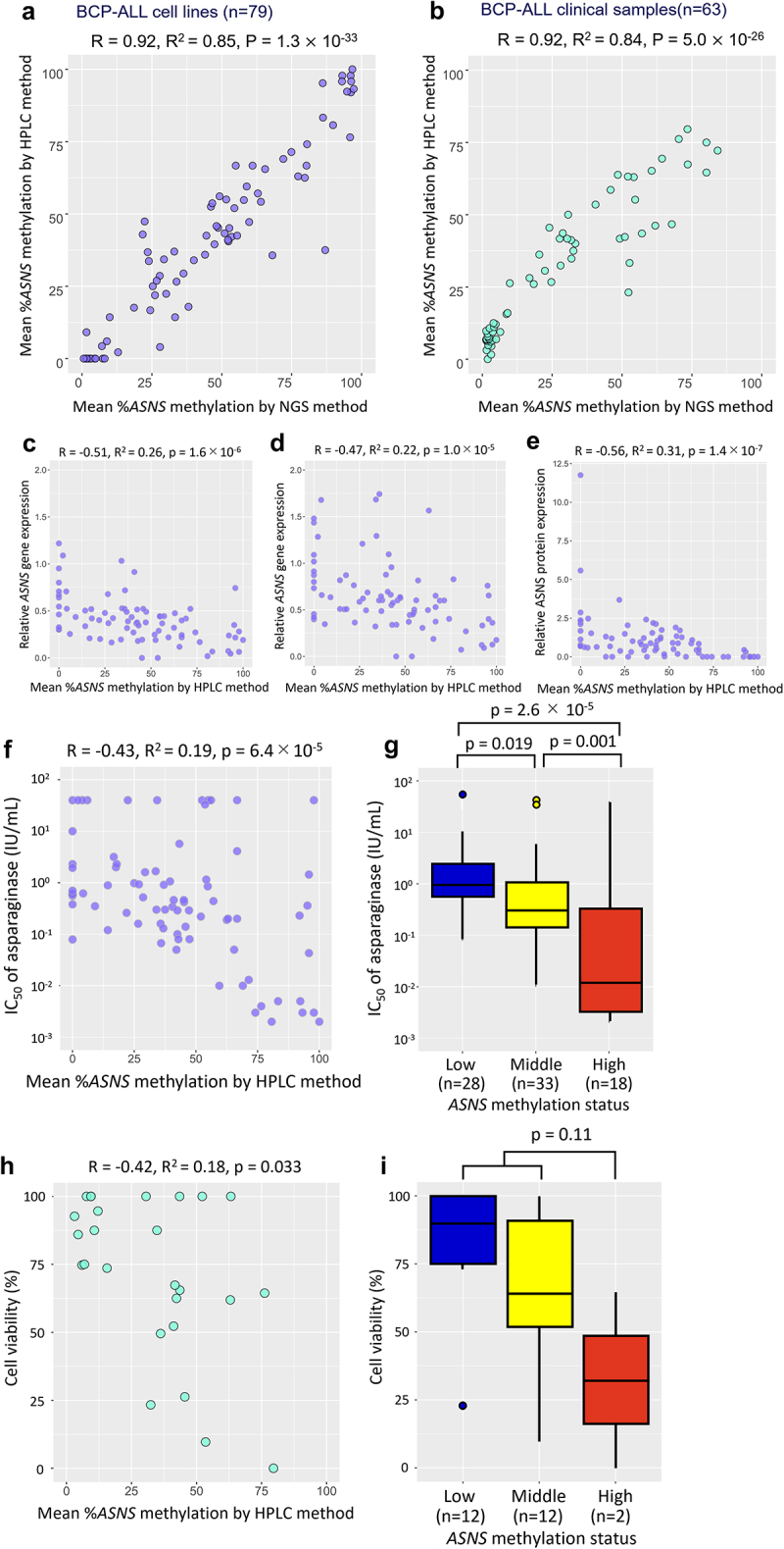 Utility of <i>ASNS</i> gene methylation evaluated with the HPLC method as a pharmacogenomic biomarker to predict asparaginase sensitivity in BCP-ALL.